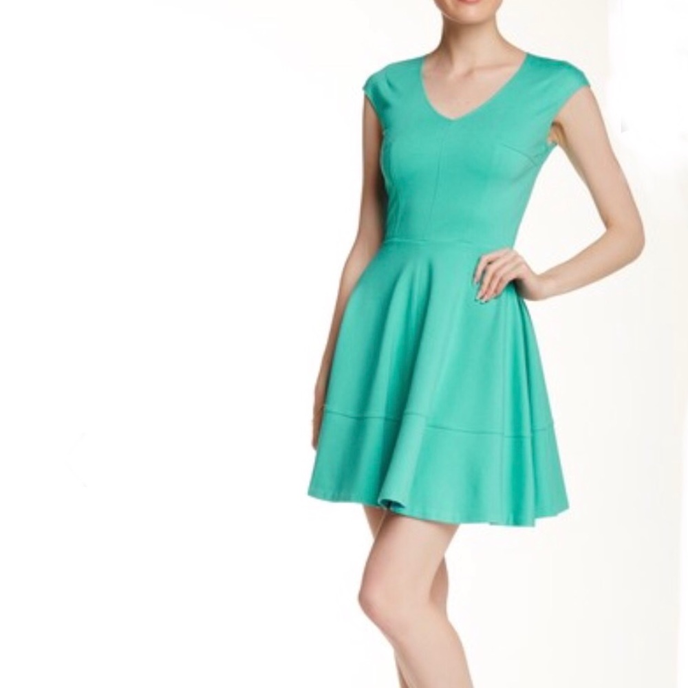 V- Neck Fit & Flare Dress